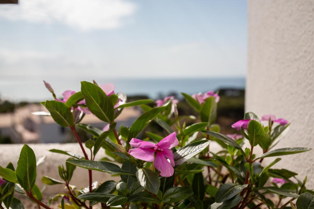 Coral By Albufeira Rental Buitenkant foto
